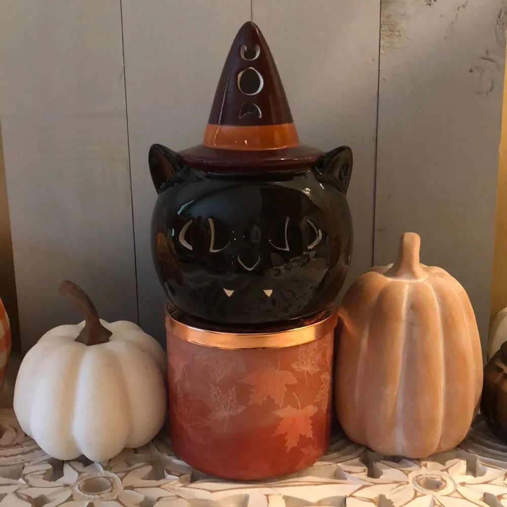 Target Bullseye’s Playground Halloween Light-Up Ceramic Witch Black Cat Decor